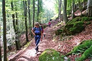 17 Comodo sentiero 227 in faggeta